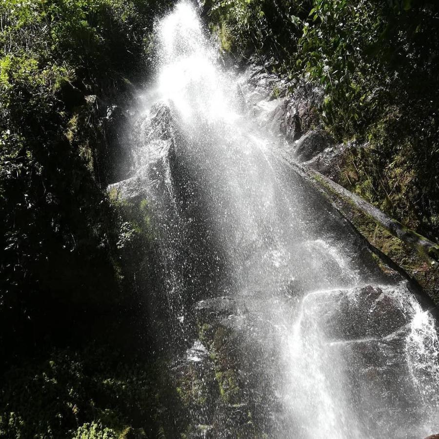 קרתגו Navarro Mountain מראה חיצוני תמונה